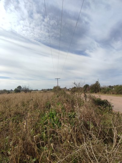 Campo en venta en Ibarlucea