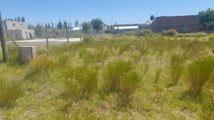 LOTE BALDIO EN PLOTTIER - LOS MALLINES
