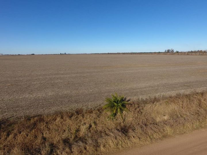 VENTA CAMPO 63 HAS EN PROVINCIA DE SANTA FE!! SAN VICENTE- DEPARTAMENTO CASTELLANOS