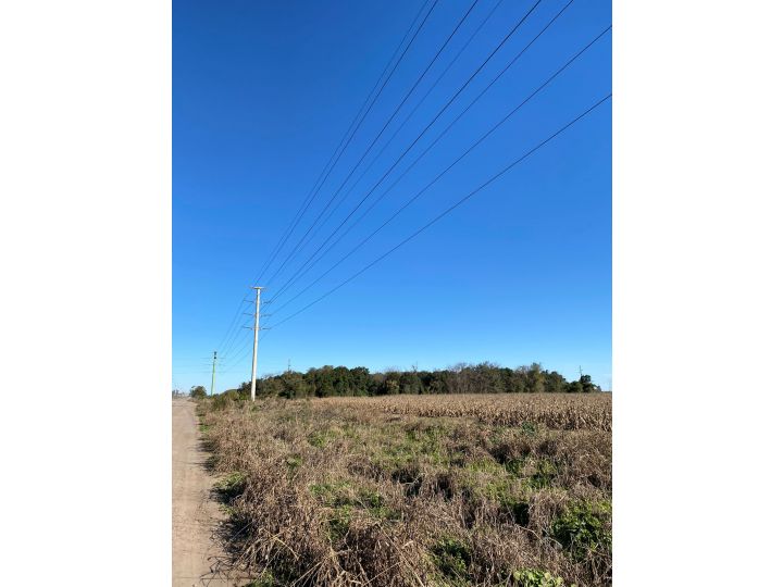 Campo agropecuario/ zona Industrial de 33ha cercana a puertos cerealeros de Timbúes