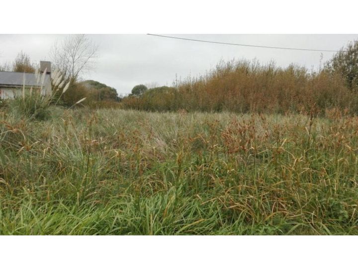 Terreno En Venta En Las Toninas, De La Costa