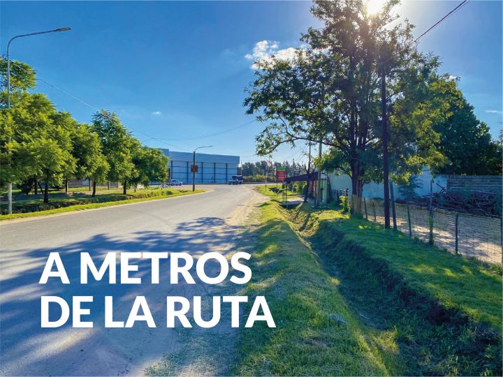 VENTA 2 LOTES PUEBLO ESTHER. METROS RUTA.  JUNTOS (4000 M2) O SEPARADOS (2000 M2 C/U)